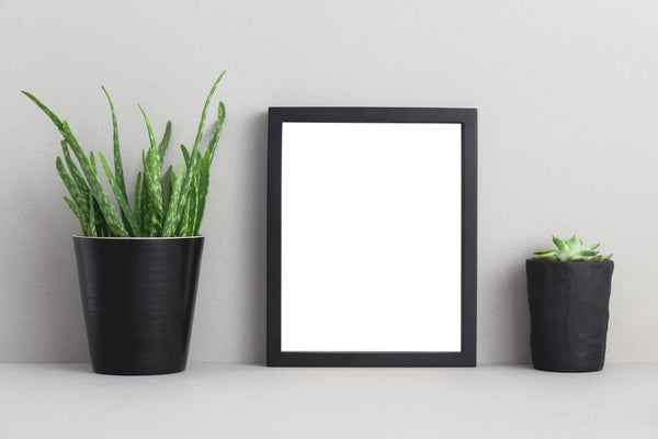 Picture Frame: Glass vs. Acrylic