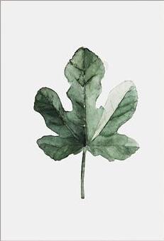 Retro Green Leaf Wall Frame