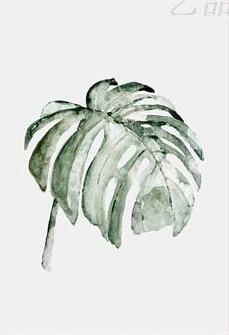 Retro Green Leaf Wall Frame